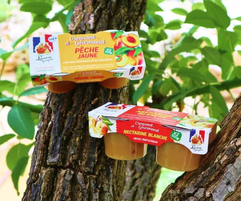 Purées et compotes
